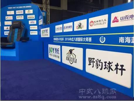 野豹球杆准神推荐,野豹哪个球杆打中八最好