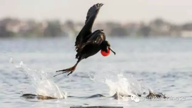 鍖楃編浣涚綏閲岃揪涔愬洯,鍖楃編鍦颁笅涓栫晫