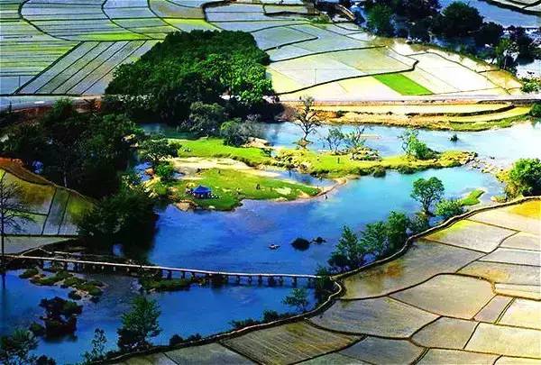 广西德保枫叶什么时候去最好看,2018年德保枫叶最佳观赏期