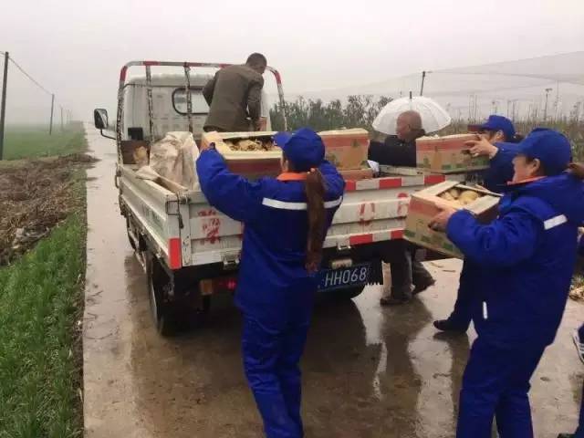 助农卖货真的好吗,助农助销