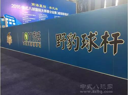 野豹球杆准神推荐,野豹哪个球杆打中八最好