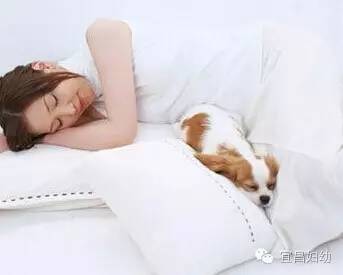 「女性健康」女性经期应注意的那些事