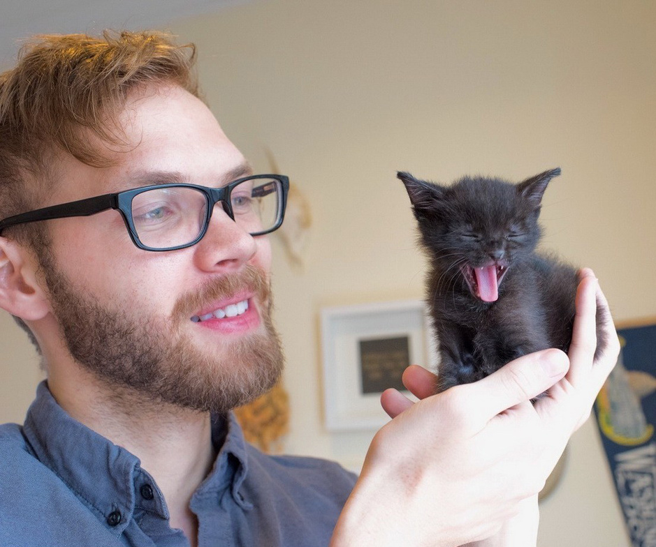 猫咪吃完猫薄荷后的表情,猫咪吃硬猫粮的奇怪表情