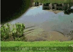 为什么哭的时候喉咙紧,为什么哭的时候喉咙很累