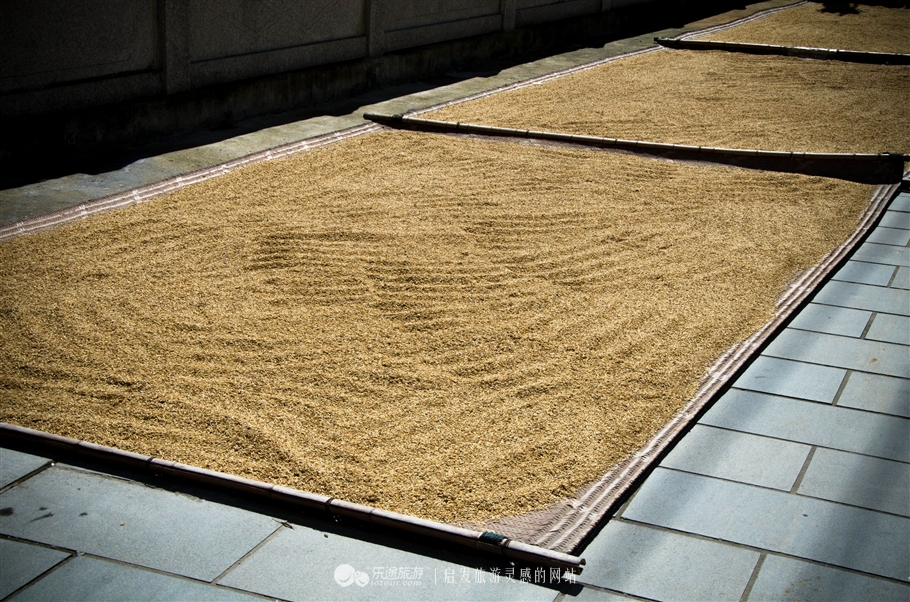 人鱼传说未解之谜,人鱼传说梦里水乡