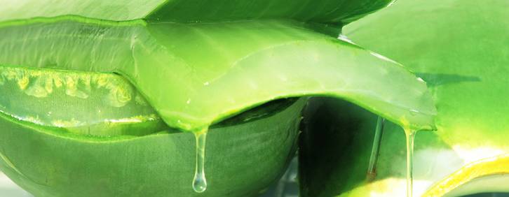 有哪些被遗忘的国货产品,那些被我们遗忘的护肤品