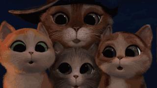 原单跟单和正品的区别,外贸原单正品尾货如何鉴别