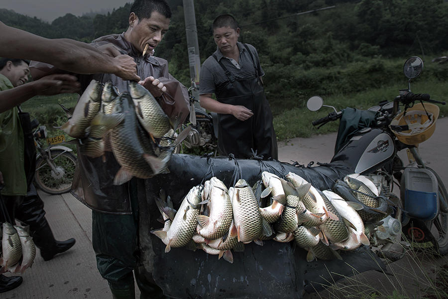 钓鱼走水绝密技巧,钓鱼保持鱼鲜活小技巧