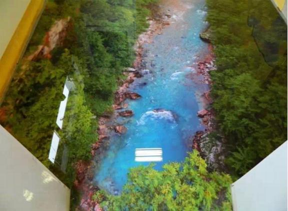 外国网友家的3D地板，炫酷到没有朋友，我们家看看就好！