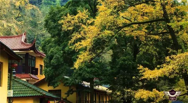 成都春季户外好去处,成都今年最火的地方在哪里