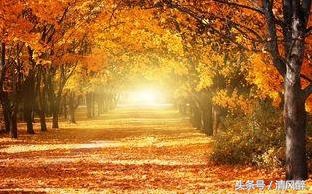 qq留言板祝福语,2020qq群发祝福语