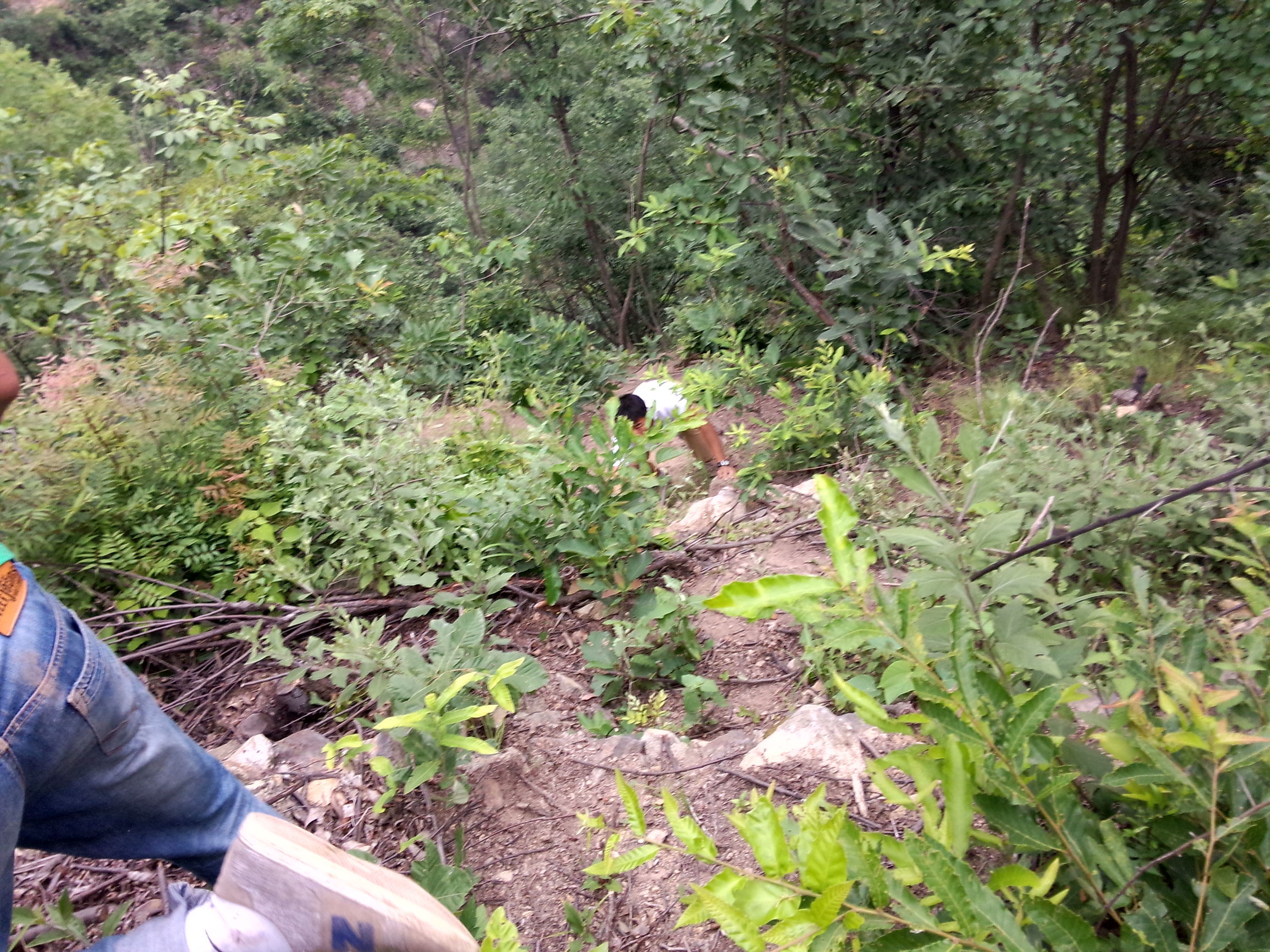 魅族的拍照很差？MX3的用户可不这么想