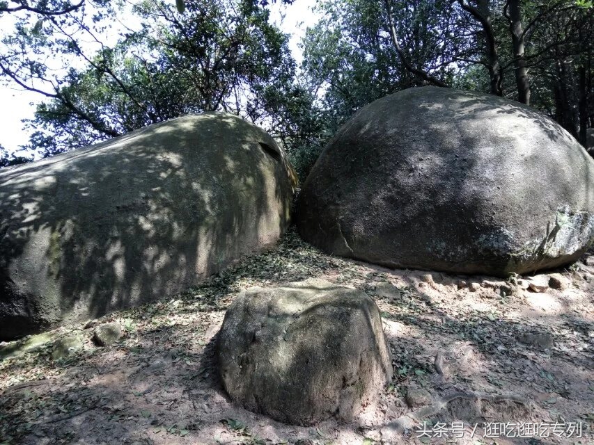 广州火炉山森林公园游玩攻略,广州火炉山徒步完整版
