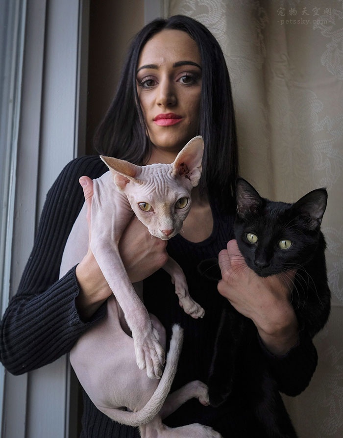 女子买了一只很便宜的猫,女子花5800元买了一只猫