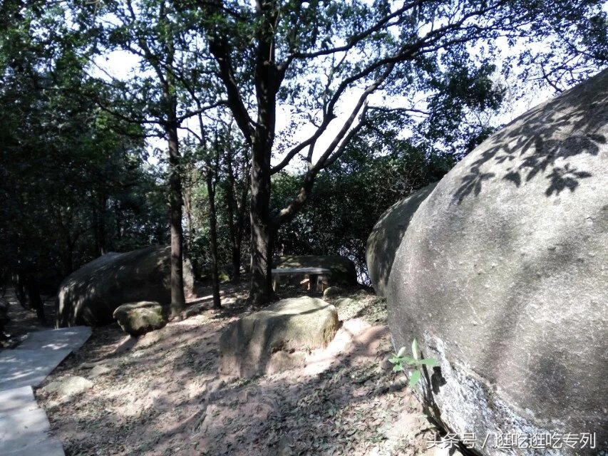 广州火炉山森林公园游玩攻略,广州火炉山徒步完整版
