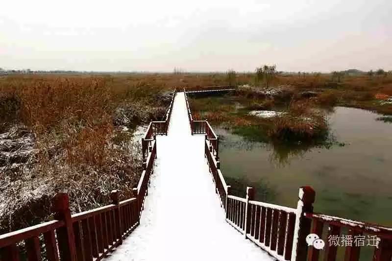 雪中宿迁，素颜都美到窒息！