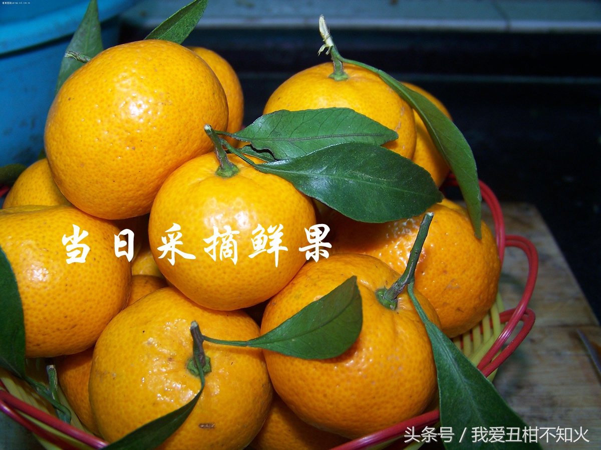 有机水果微商,有机水果市场前景简介