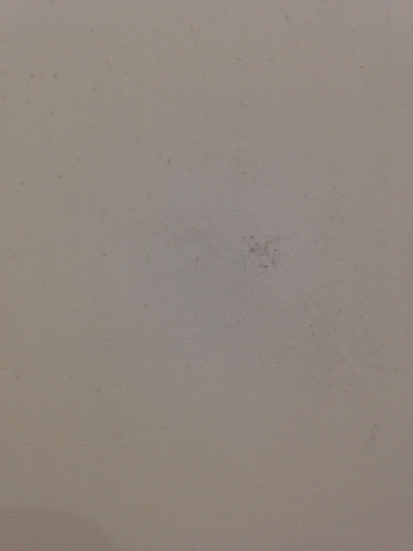 墙纸好还是硅藻泥好,硅藻泥好还是墙纸好