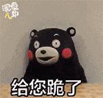 孙杨和张继科的比赛视频,孙杨和张继科谁帅