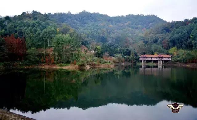 成都春季户外好去处,成都今年最火的地方在哪里