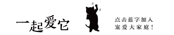 宠知识|狗狗来生理期了？作为家长的你知道吗？