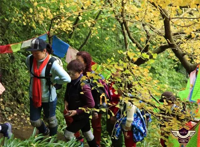 成都春季户外好去处,成都今年最火的地方在哪里