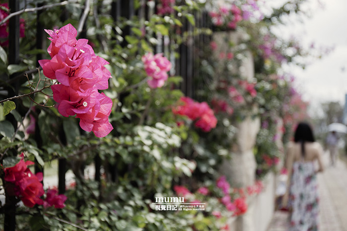 三亚第一市场怎么选海鲜,三亚第一市场海鲜在三亚哪个位置