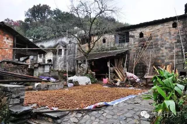 一家四口亚欧自驾游,一家四口全球旅游