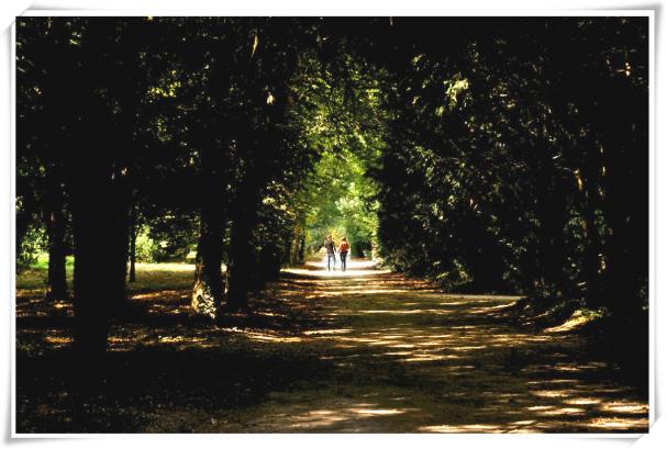 环游法国卢瓦尔河谷 (法国卢瓦河谷旅游攻略)