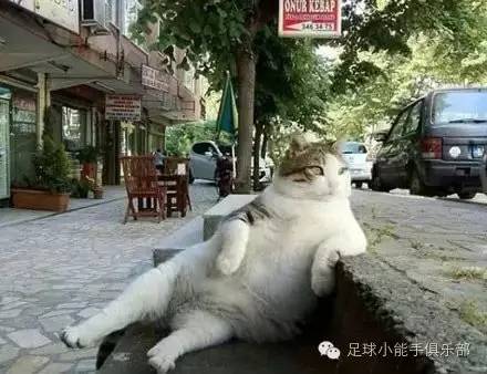 看完此文你不会再觉得买不中足*彩球**票是因为自己水平或好运不够