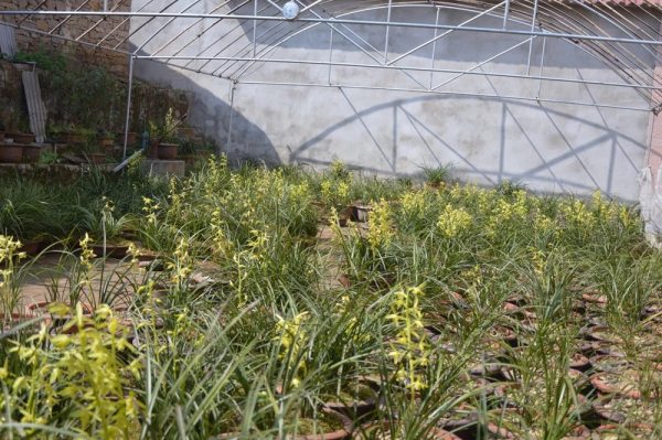 我的艺术成长经历三年级,我的艺术成长足迹照片