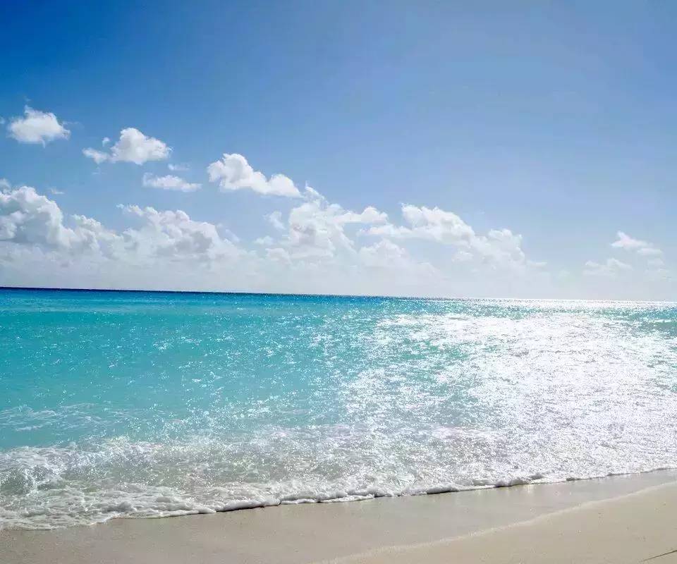 英语四六级词汇范围一样吗,英语四六级翻译词汇汇总