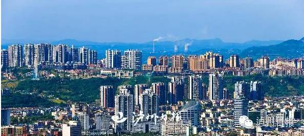 政协委员的两会声音,政协委员的声音