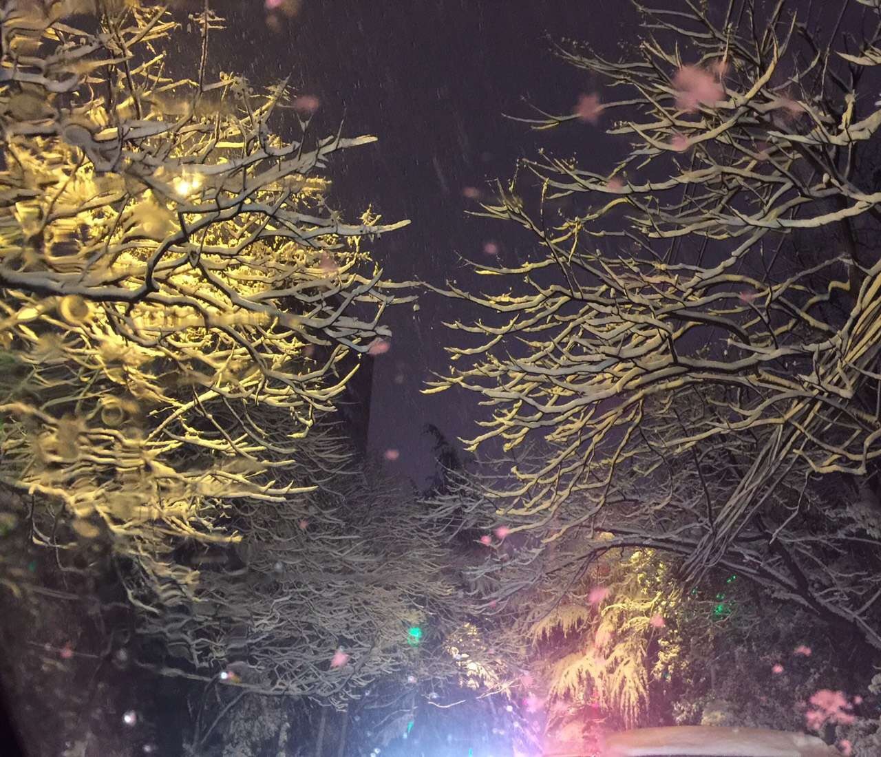 最近几日合肥的雪,合肥连下四天雪