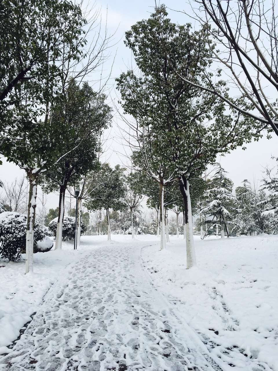 最近几日合肥的雪,合肥连下四天雪