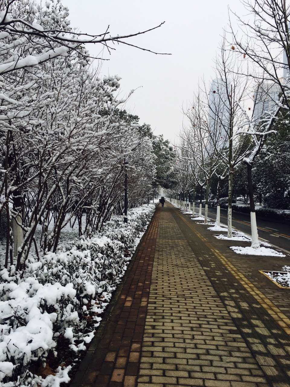 最近几日合肥的雪,合肥连下四天雪