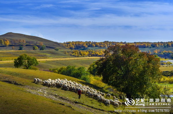 金秋坝上旅游摄影全攻略,坝上透风沟风景图片
