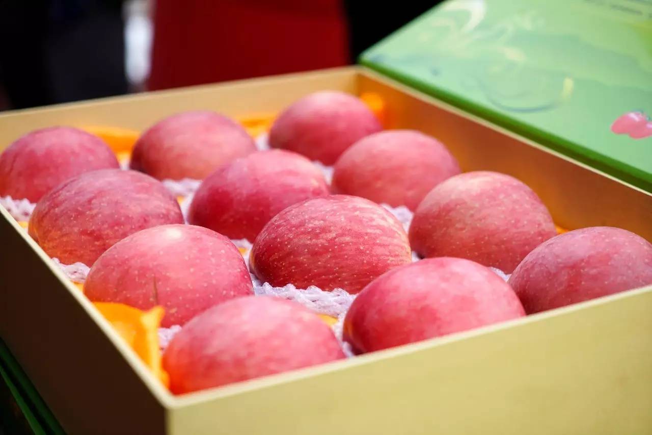 陕西洛川苹果和烟台红富士,陕西洛川果园苹果