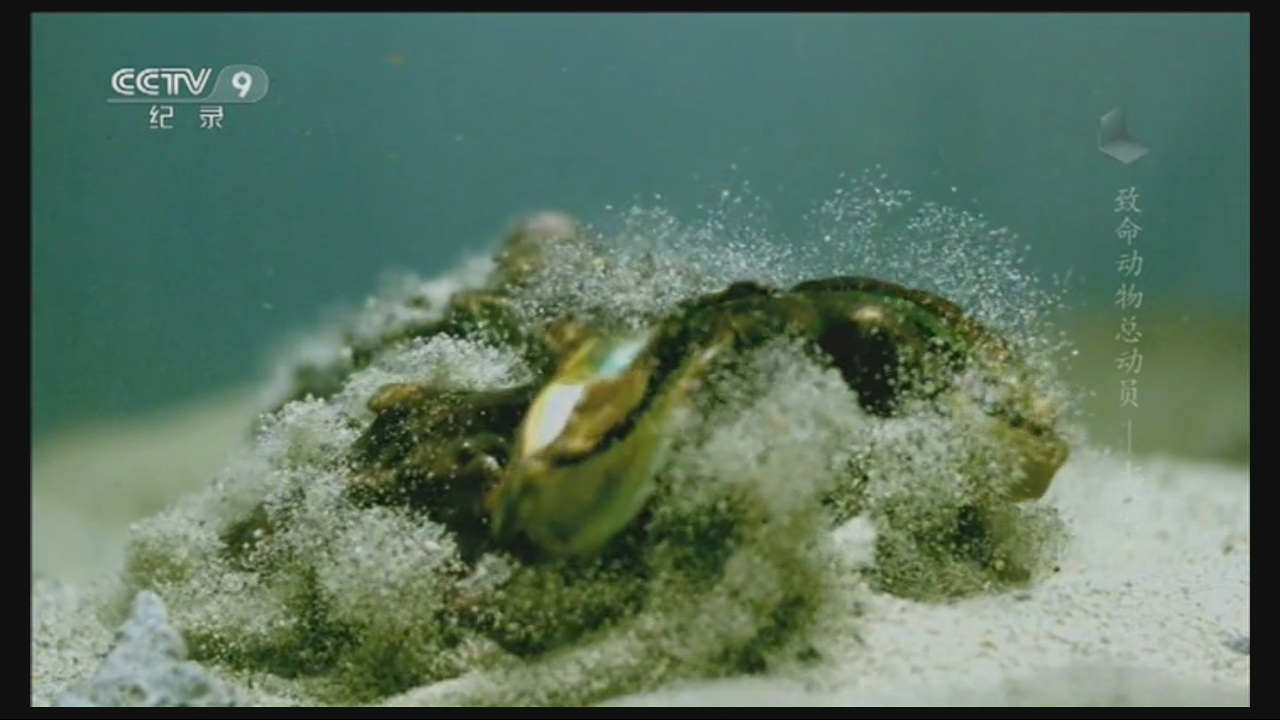 天猫魔盒测评最新,天猫魔盒3pro和6pro区别