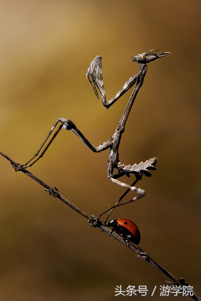 摄影答疑,解答摄影问题