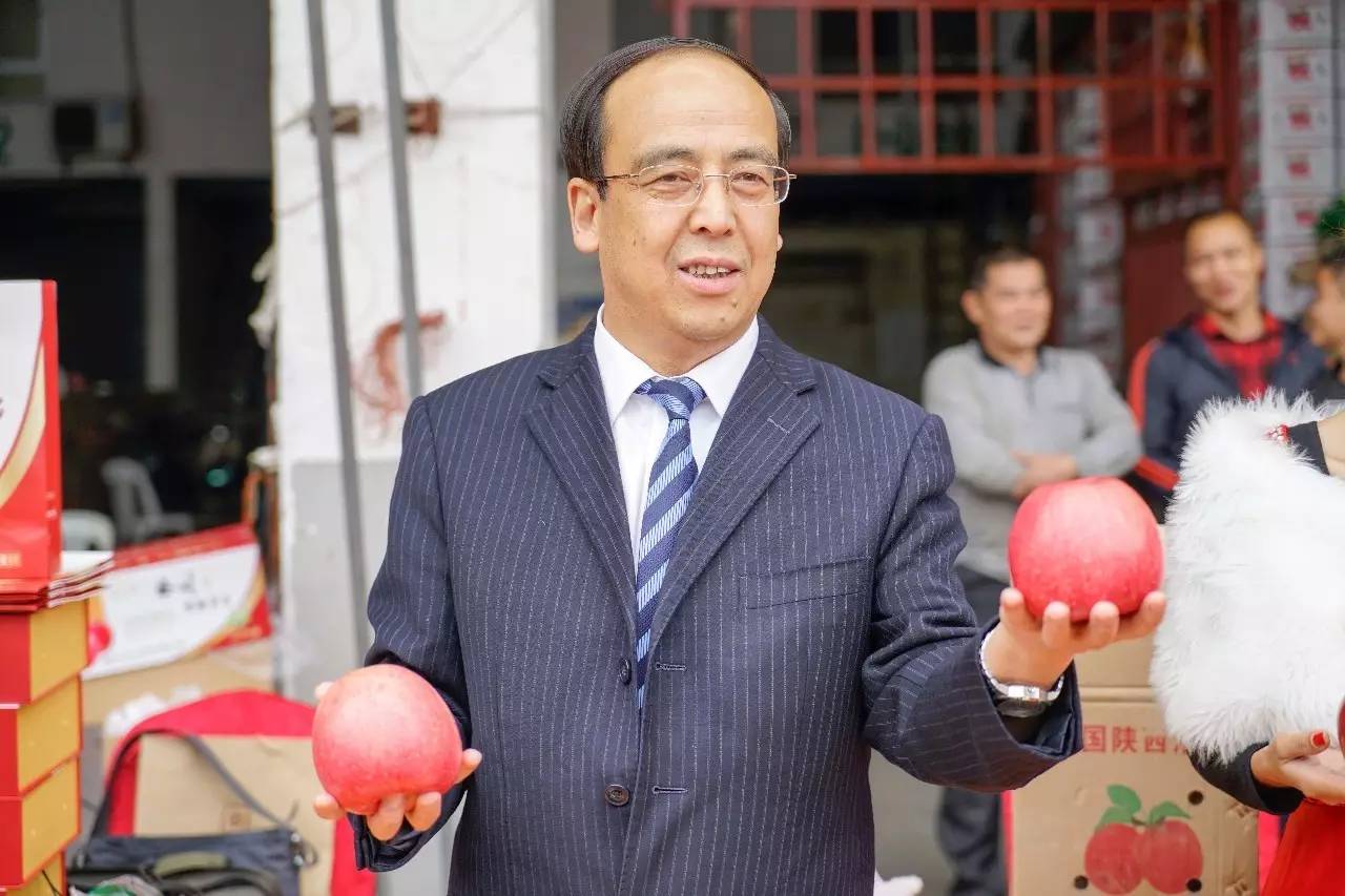 陕西洛川苹果和烟台红富士,陕西洛川果园苹果