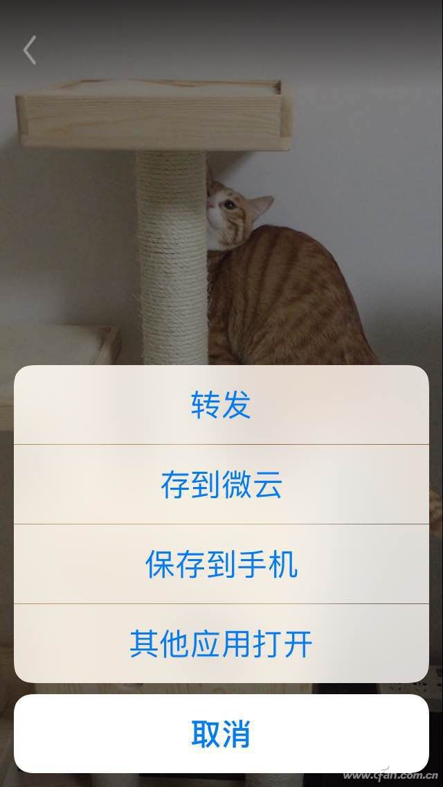 老司机开车手机QQ微信发电脑视频小教程