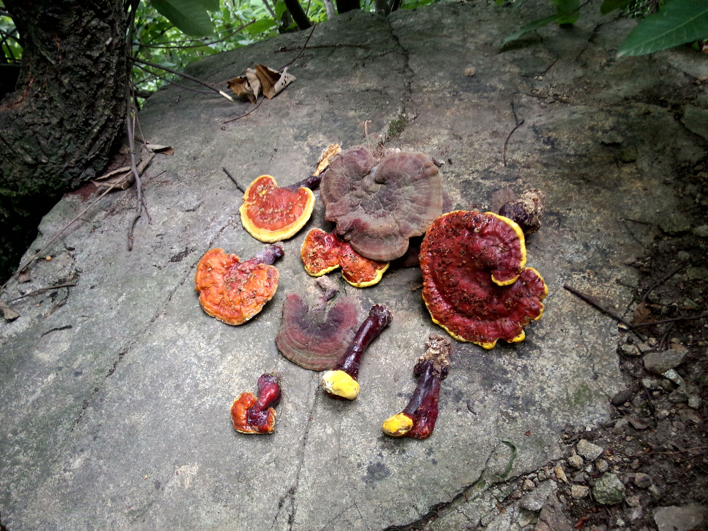 魅族的拍照很差？MX3的用户可不这么想