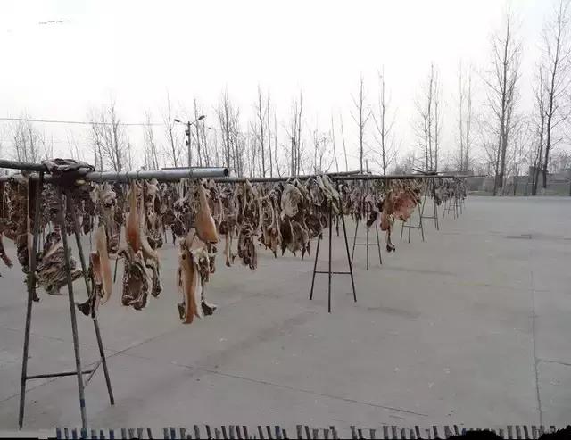 商纣王肉林酒池是什么意思,商纣王酒池真实存在吗