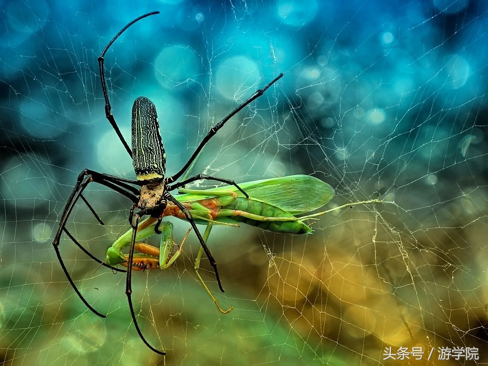 摄影答疑,解答摄影问题