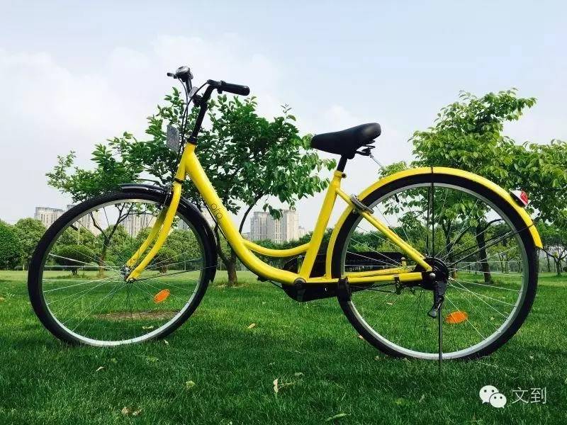 共享单车在街头,街头的共享单车怎么用
