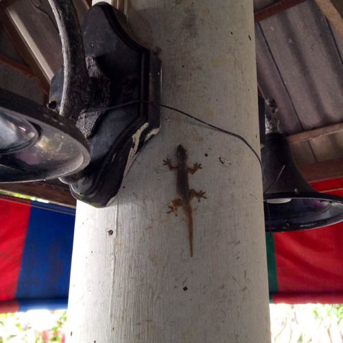 泰国天堂沙滩旅游,泰国天堂之城视频