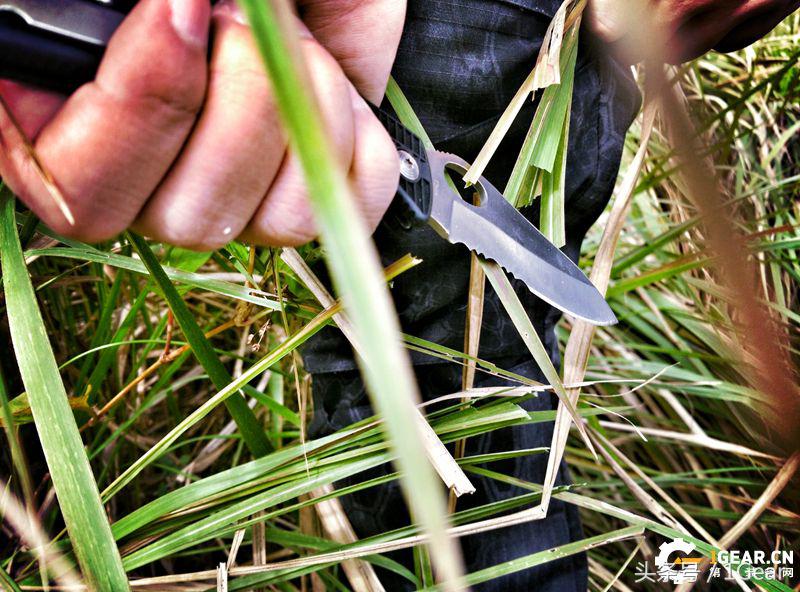 王麻子大马士革钢菜刀,王麻子菜刀好还是大马士革菜刀好