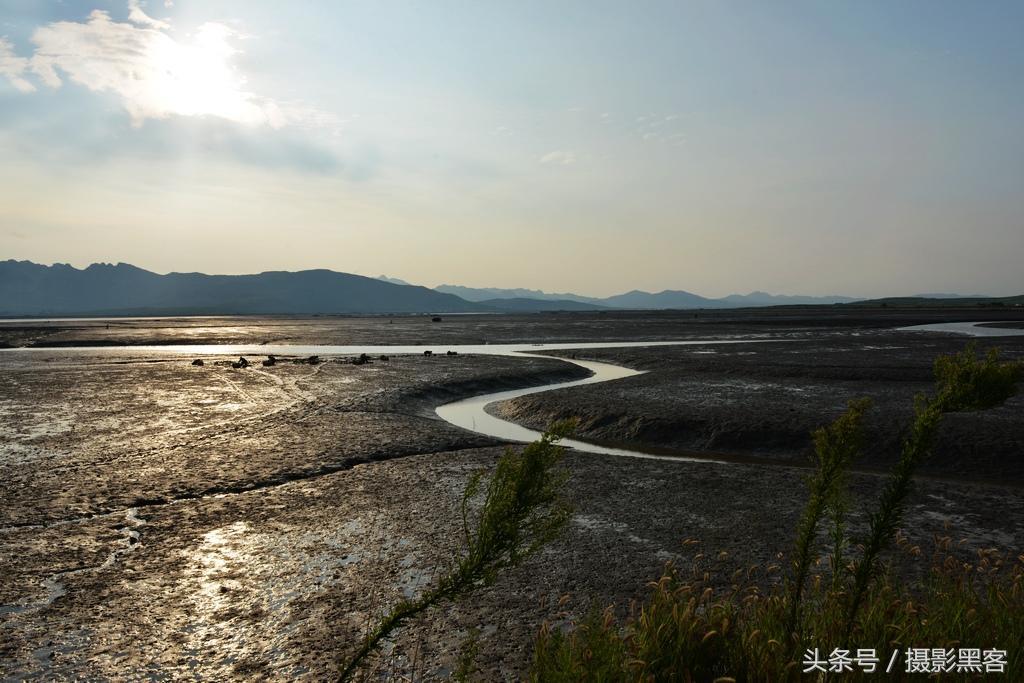 用有洞的铲子赶海抓蛏子,潜水抓蛏子怎样抓的最多