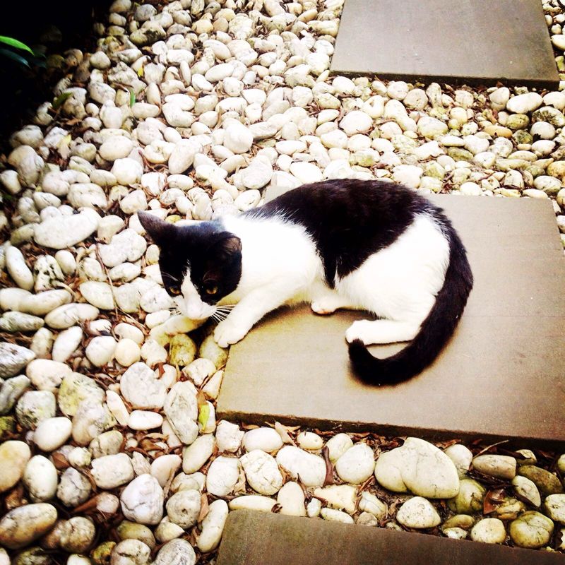 泰国天堂沙滩旅游,泰国天堂之城视频